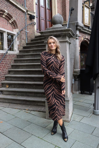 Yasmalla ls long knit dress - coffee quartz