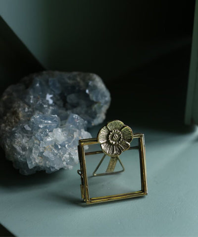 Mia poppy mini frame