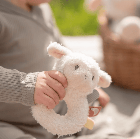 Ringrammelaar schaap Little farm