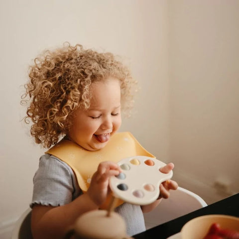 Paint pallete press toy