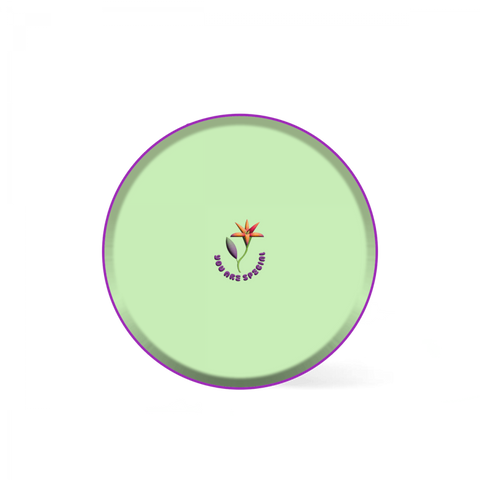 Plate - You are Special