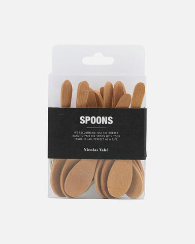 Bamboo spoon in box - 12pc