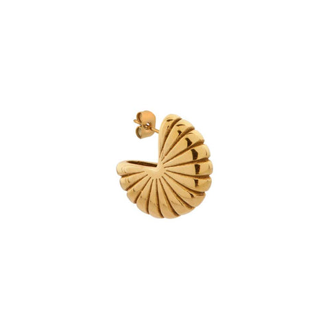 single open shell hoop gold