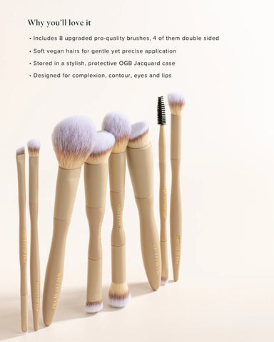 Jacquard Pro Brush set