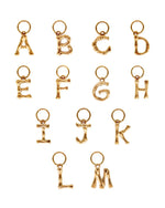 Letter big charm gold