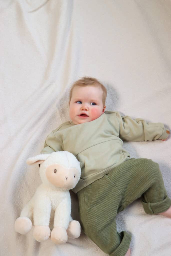 Knuffel schaap Little farm 25cm