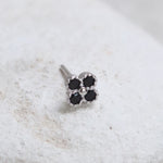 Black clover silver