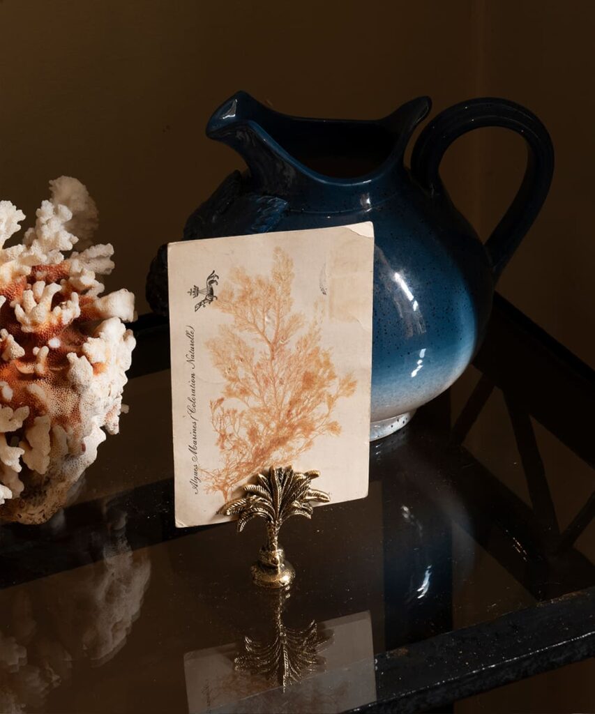 Marlin palm card holder