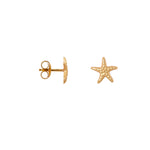Mini sea star gold