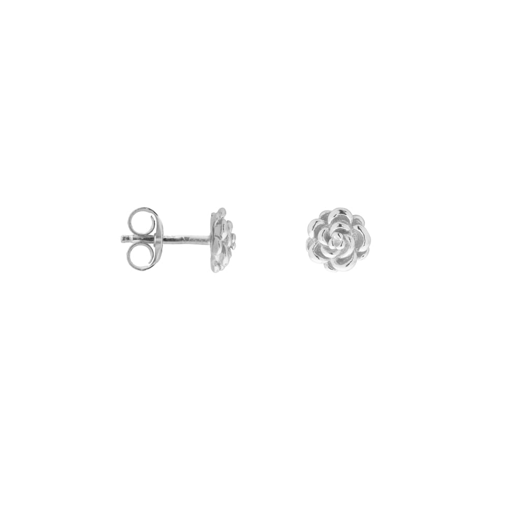 Rose silver