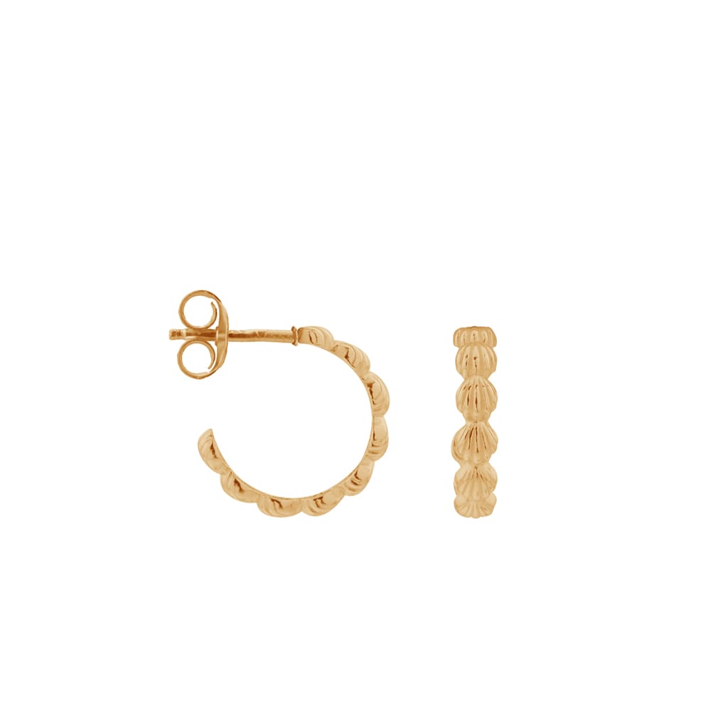 Shell row gold