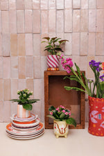 Flowerpot Green Hearts Flowers