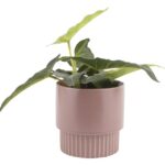 PLANT POT RIBBED M DUSTY PINK